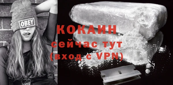 соль ск Абаза