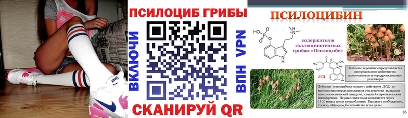 MEGA ССЫЛКА  Емва  Галлюциногенные грибы мицелий 
